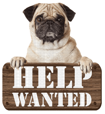 Kaz_Creations Dog Pup Dogs 🐶Text Logo Help Wanted Sign - ücretsiz png