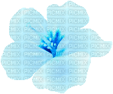 ice winter flower animated - Δωρεάν κινούμενο GIF