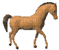 horse - Бесплатни анимирани ГИФ
