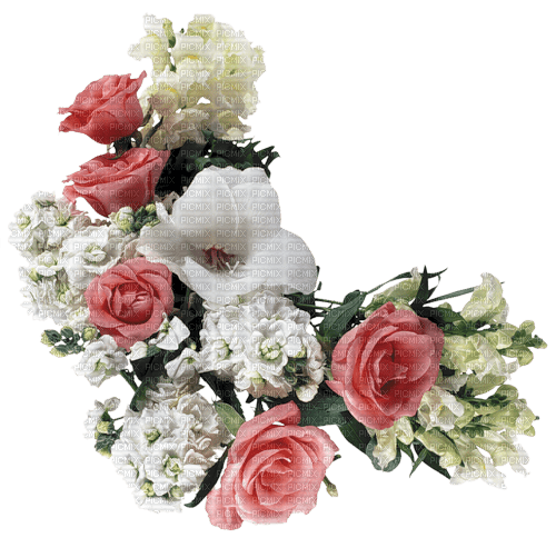 corner coin flowers roses pink white - zadarmo png