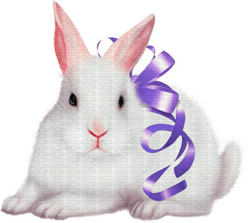 Y.A.M._Easter rabbit - Free PNG
