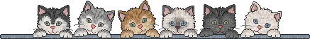 kitties - 無料のアニメーション GIF