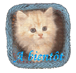Bientot - Bezmaksas animēts GIF