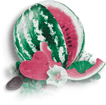soave deco summer watermelon green pink - png ฟรี