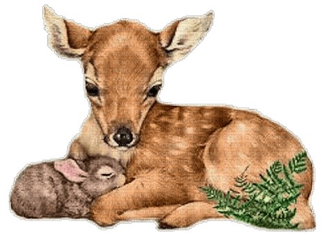 dolceluna deer bunny - PNG gratuit