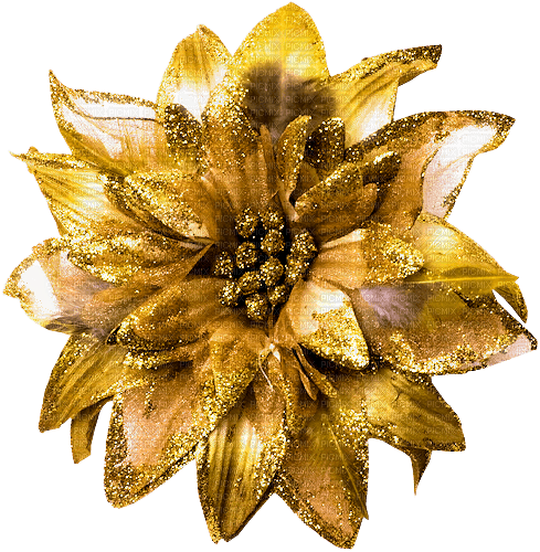 Flower.Gold - nemokama png