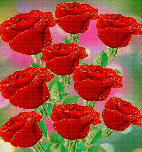 red roses background - Zdarma animovaný GIF