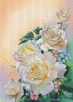 White Cabbage Roses - Free PNG