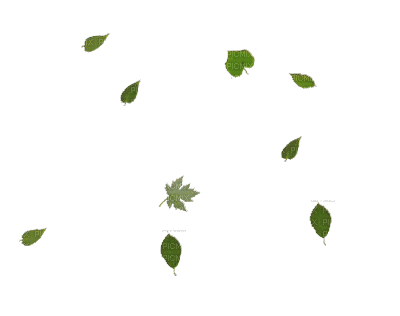 leaves bp - Zdarma animovaný GIF