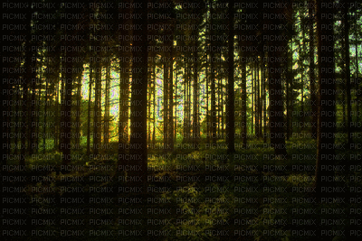 ani-skog-natur - Gratis animerad GIF