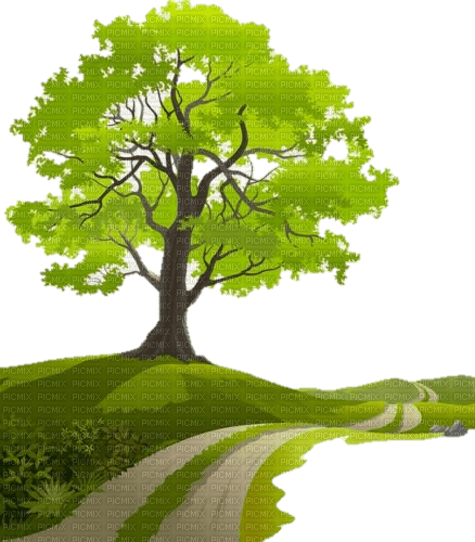 tree - δωρεάν png