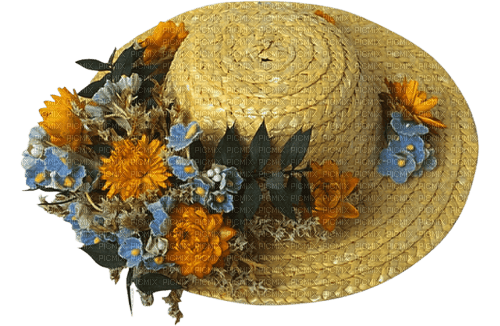 Соломенная шляпа - фрее пнг