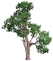 дерево. - GIF animasi gratis