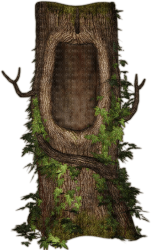 Tree with Nesting Home - бесплатно png