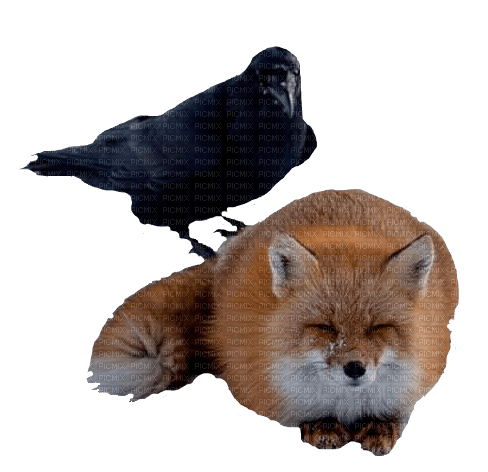 animals nancysaey - 免费PNG