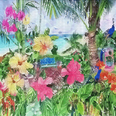 soave background animated summer tropical beach - Бесплатный анимированный гифка