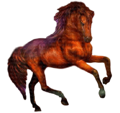 aze cheval marron Brown - png gratis