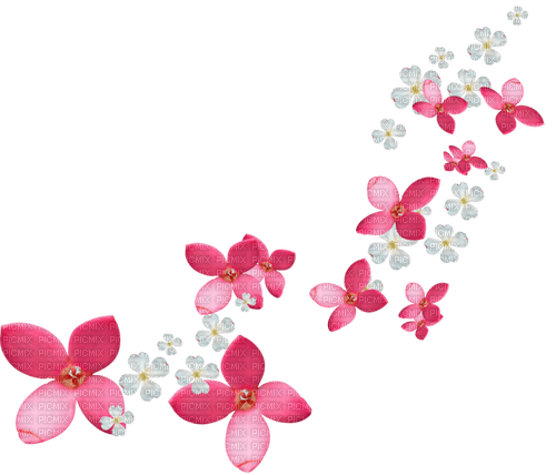 Flowers.White.Pink - kostenlos png