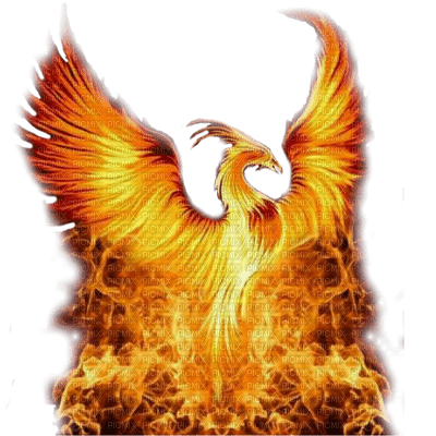 phoenix by nataliplus - nemokama png