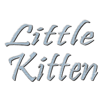 little kitten - kostenlos png