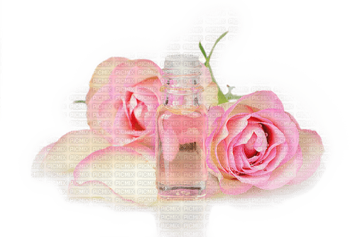 Rosenöl - zdarma png