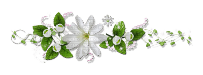 flower-white - zdarma png