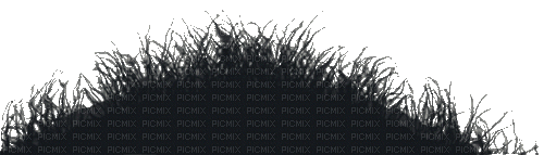 SM3 WIND GRASS BLACK NATURE GIF - Darmowy animowany GIF