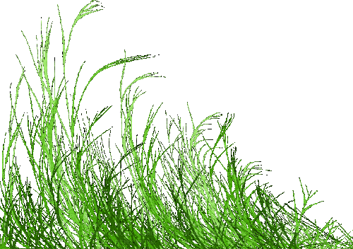 Трава - Gratis animerad GIF