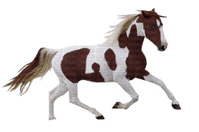 dulcineia8 cavalos - фрее пнг