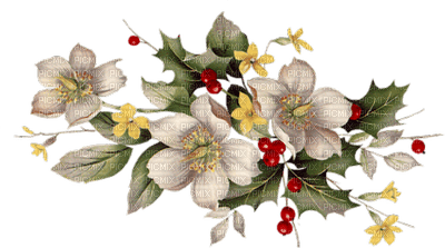 Marcia flores fleurs flowers - PNG gratuit