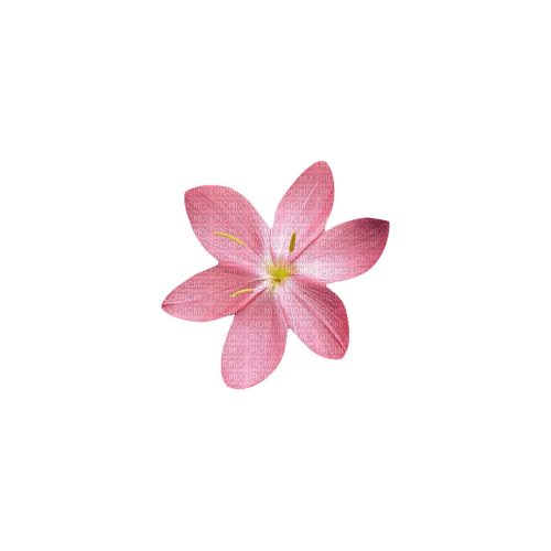 kikkapink deco scrap pink flower - ilmainen png