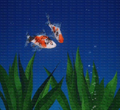 fish swim - Kostenlose animierte GIFs