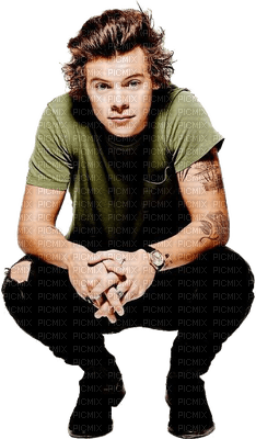 Kaz_Creations Harry Styles One Direction Singer Band Music - png grátis