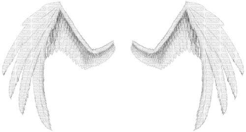 white wings - nemokama png