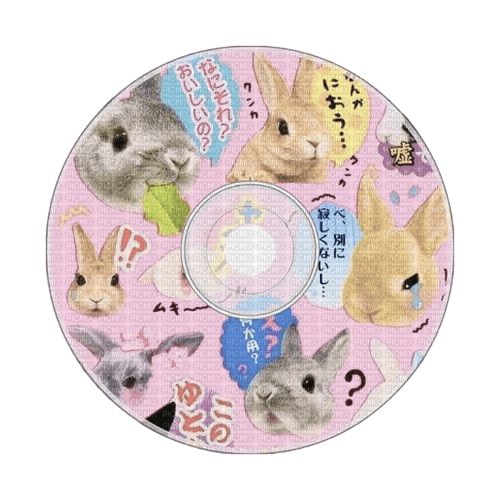 bunny disc - PNG gratuit