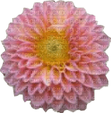 Pink Flower Joyful226 - ingyenes png