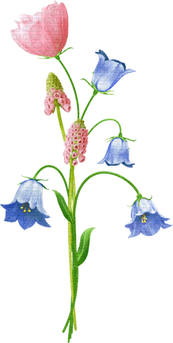 Flowers.Pink.Blue - nemokama png