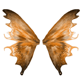 flügel wings - nemokama png