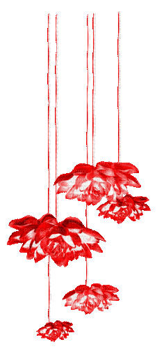 Flowers.Red - By KittyKatLuv65 - GIF animate gratis