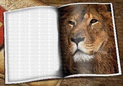 bg-frame-book-lion 400x279 - Free PNG