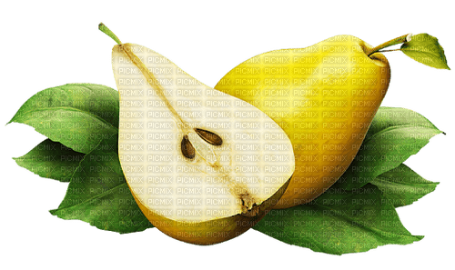 Pear Fruit - Bogusia - ücretsiz png