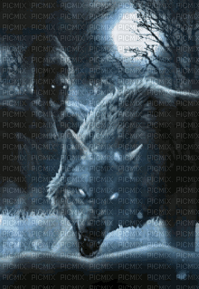 Wolves - GIF animado gratis