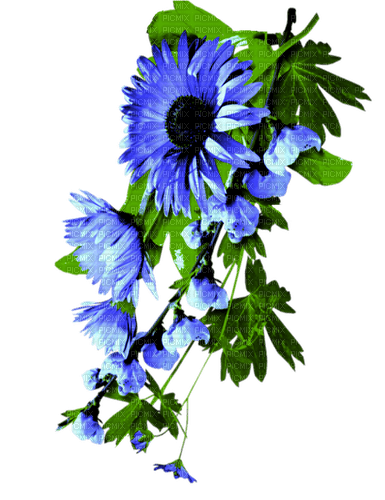 Flowers.Blue - безплатен png