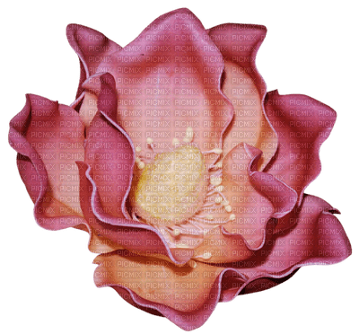 Kaz_Creations Flowers Flower Deco - png gratuito