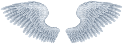 Kaz_Creations Deco Wings - 無料png