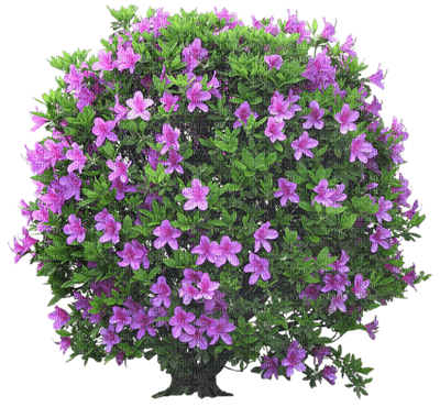 Kaz_Creations Deco Flowers Flower Colours Tree Bush - безплатен png