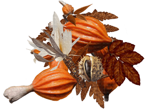 autumn deco orange brown leaves kikkapink - Free PNG