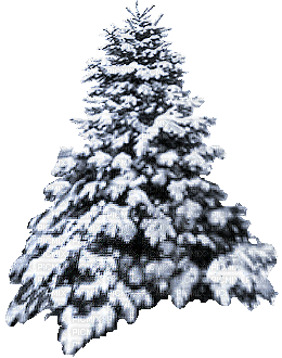 Boom in sneeuw - Ücretsiz animasyonlu GIF