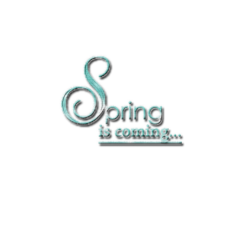 kikkapink spring is coming text blue teal - darmowe png