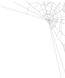 spider webs - 無料png